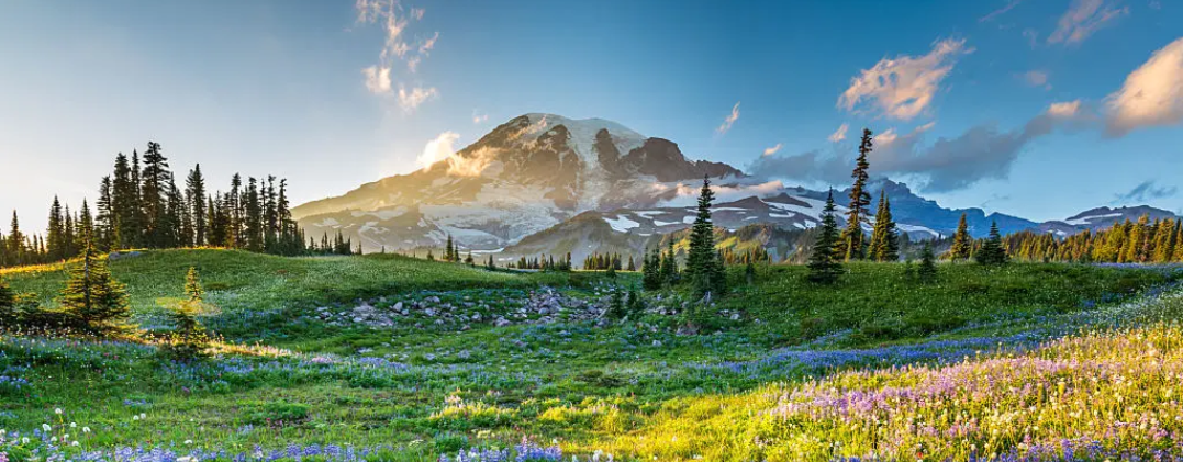 Comfortable cabin base for hiking and wildflower trips in Crested Butte